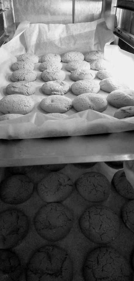 Biscotti sfornati