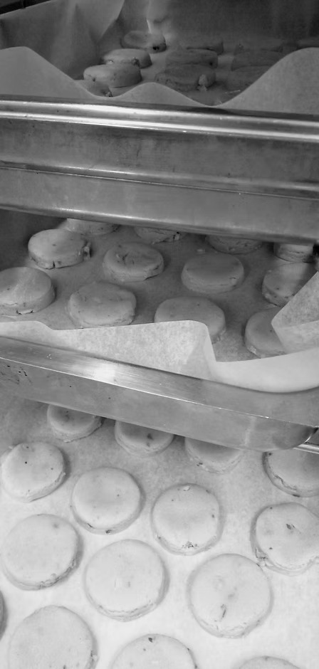 Cottura dei biscotti in forno