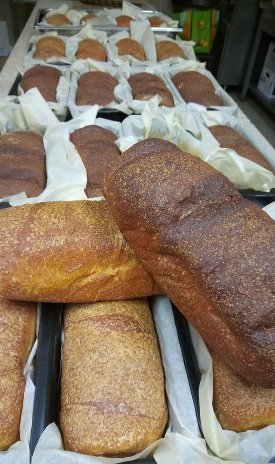 Pane appena sfornato